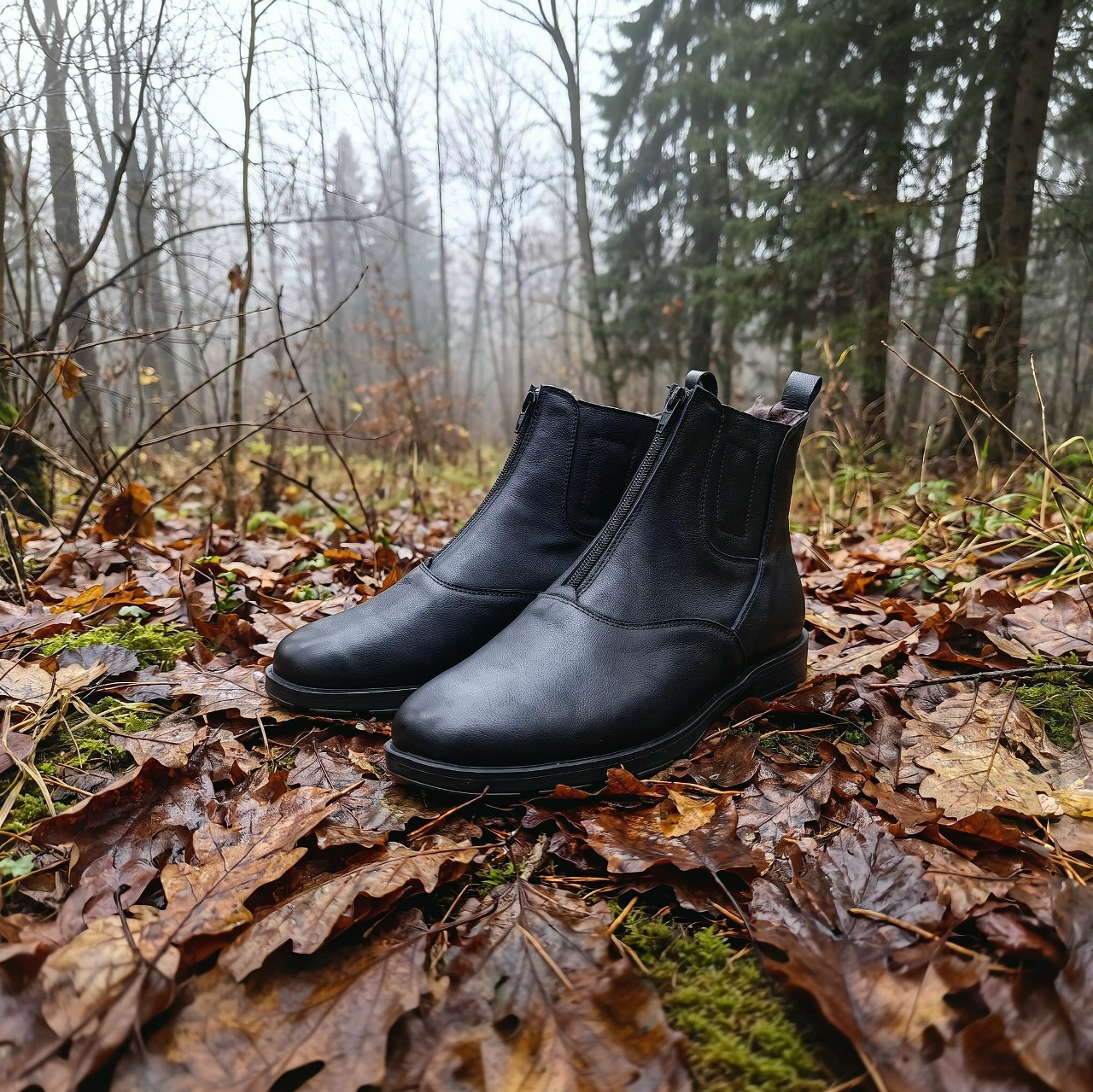 Шевалье Зима